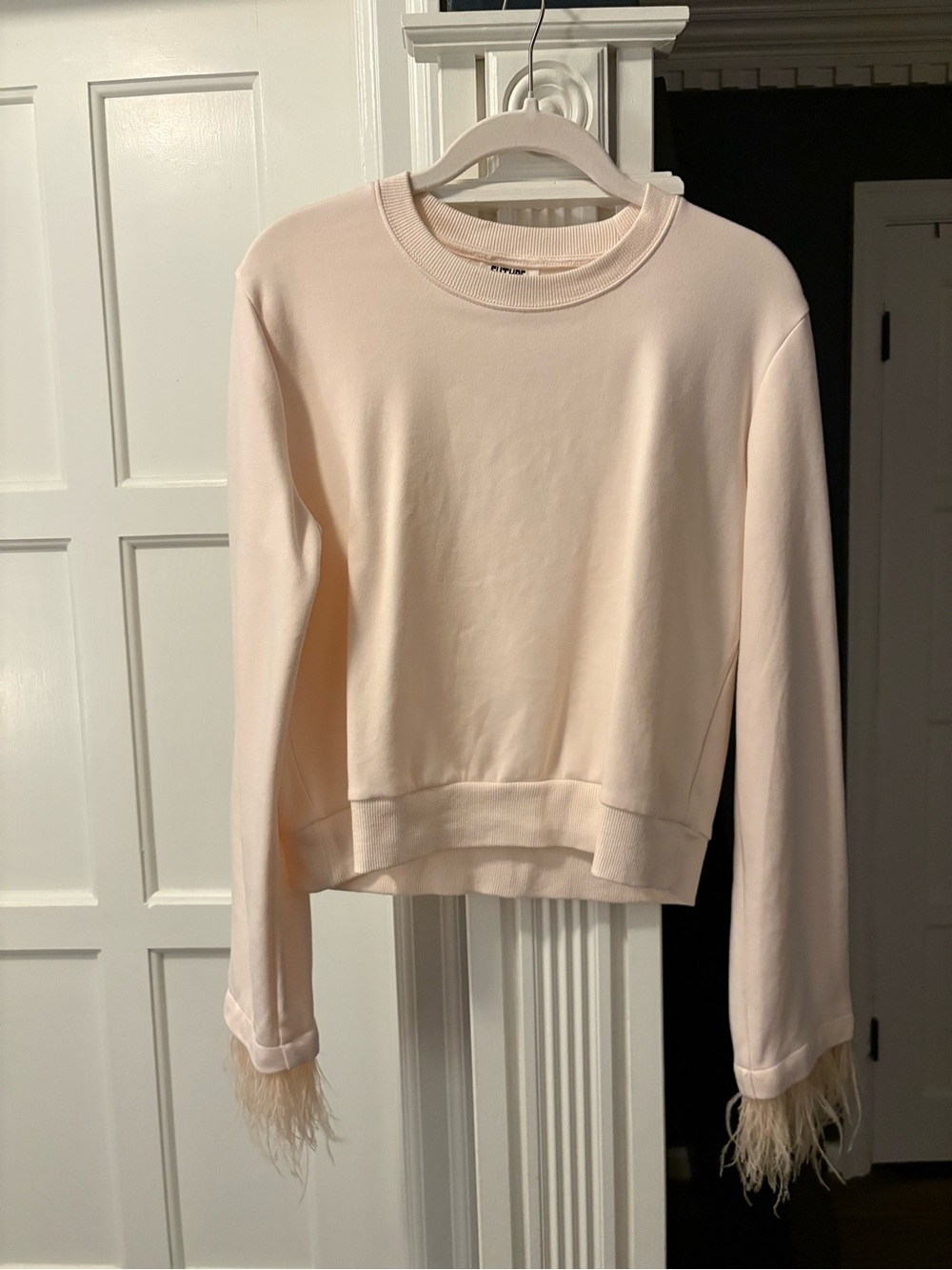 Feather-Trim Crewneck Sweatshirt in Pale Pink